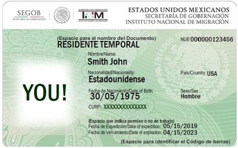 card permit mexico vehicle temporary focus results